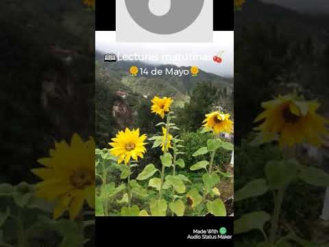 Lecturas Matutinas🍒 14 de Mayo