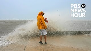 As sea level rises, should we build sea walls? We asked a scientist