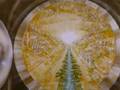The New Jerusalem