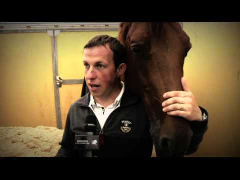 Longines Global Champions Tour 2013 - Wiesbaden - In Focus: Gerco Schroder's stallion London