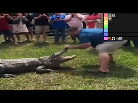 Gender Reveal Party Tier List