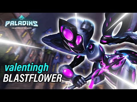 valentingh Willo Pro Competitive l MASTER l BLASTFLOWER l PALADINS GAMEPLAY