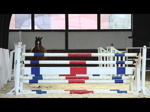 Nr 41  A La Carte NRW   Arpeggio   Paradiso