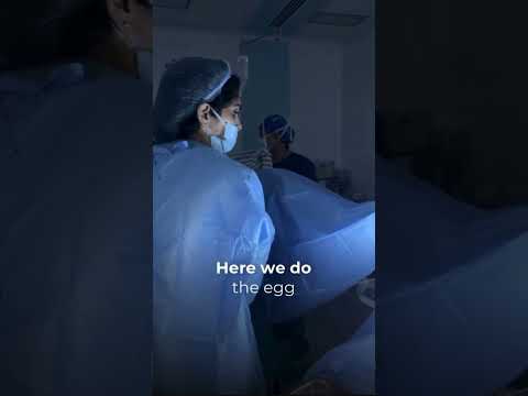 Egg Retrieval Procedure in IVF | Step-by-Step Explained by Doctor Dr. Kusuma M Vijay
