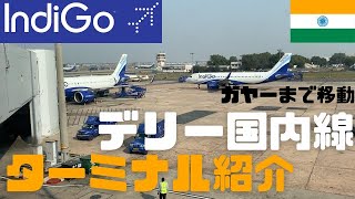 デリー国内線の乗り方/ ターミナル２ / IndiGo航空のチェックイン / ブッダガヤの屋台紹介【仏教聖地巡礼シリーズ②】