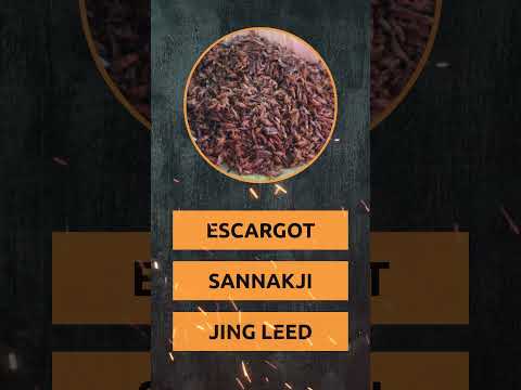 Amazing Entrees: Global Food Quiz Challenge!