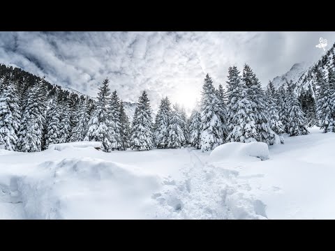 Retezatul în plină iarnă