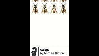 Book Review: Galaga by Michael Kimball from Boss Fight Books
