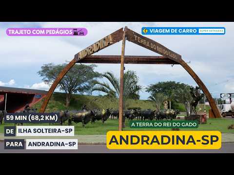 DE ILHA SOLTEIRA-SP PARA ANDRADINA-SP: ROTA COMPLETA PELA BR-262! 🛣️