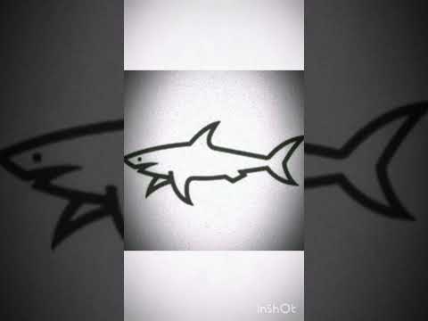 Vnas ft Dav-Bekman Ket