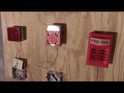 System Test 5: Crazy Loud Horns!