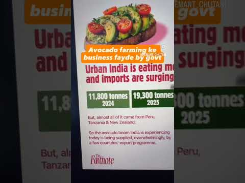 Avocado Business Guide: Market Data,Government Subsidy