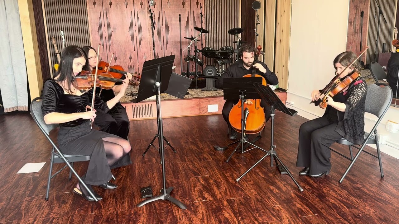 Promotional video thumbnail 1 for Viva La Vida String Quartet LLC