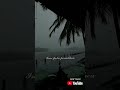 Ilayaraja Whatsapp Status Elangakathu Veesuthu