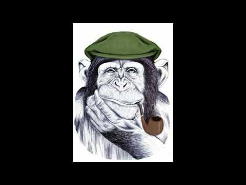 Laika & Strelka, DirrtyDishes -  Change