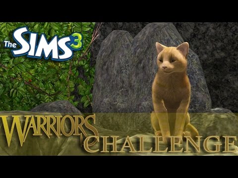 Sims 3 Warrior Cats Wiki Warriors Amino