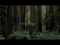 Sequoia Solar