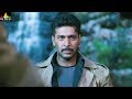 Ranadheera Movie Jayam Ravi Action Scene | Telugu Movie Scenes  | Sri Balaji Video