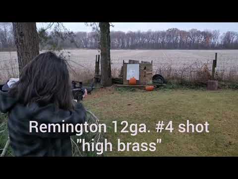 12ga. Semi auto, magazine fed shotgun.