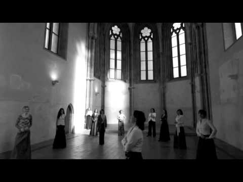 Tiburtina Ensemble/David Dorůžka Trio - conductus: Audi, pontus.mov