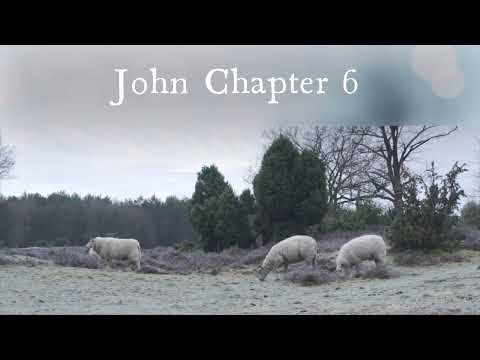 The Book of John Chapter 6 - New King James Version (NKJV) - Audio Bible
