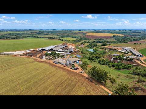 50 MIL LITROS POR DIA | FAZENDA CAMPO ALEGRE | MINAS GERAIS - BRASIL 🇧🇷