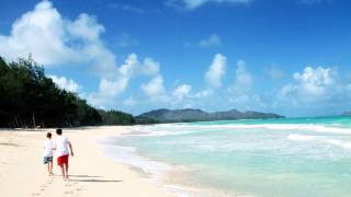 Sonic Inc. - The Taste Of Summer (Original Edit)