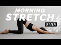 5 Min Morning Stretch Full Body Flexibility Routine For Beginner