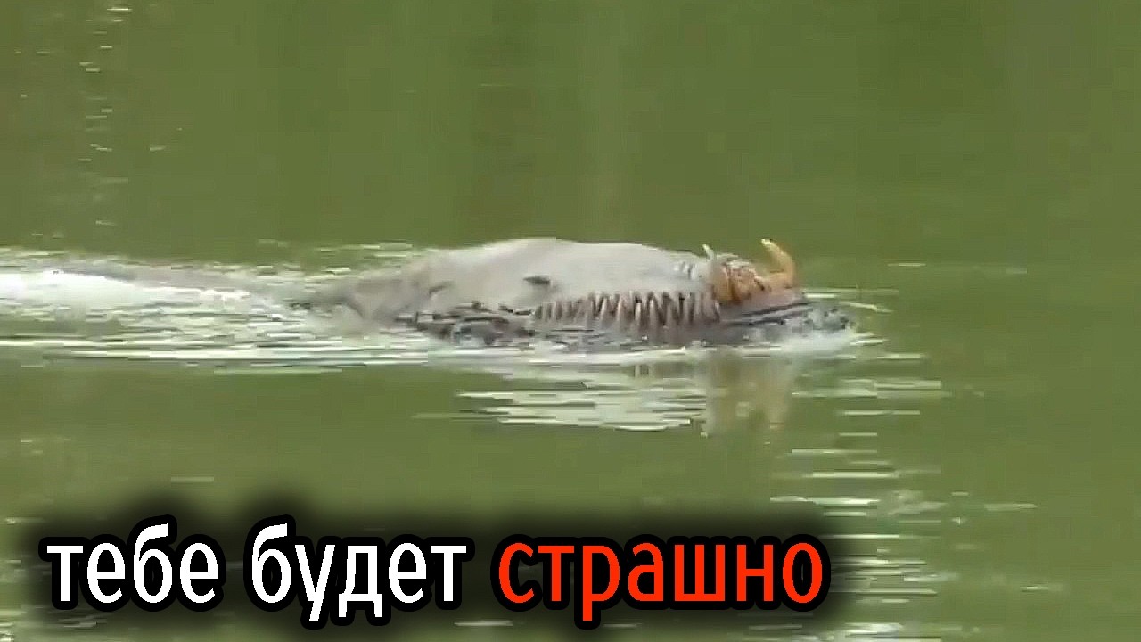 Самые Ужасные Видео со Всего Мира #106