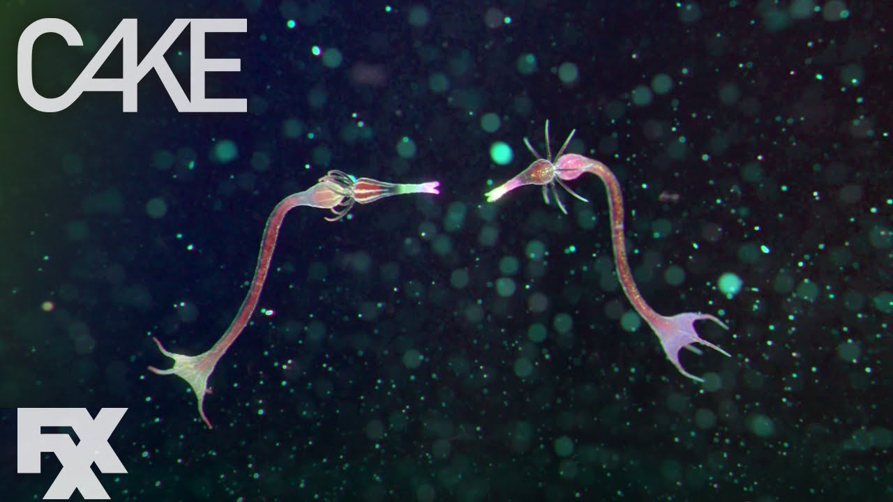 Drifters - So Weird | Cake | FXX