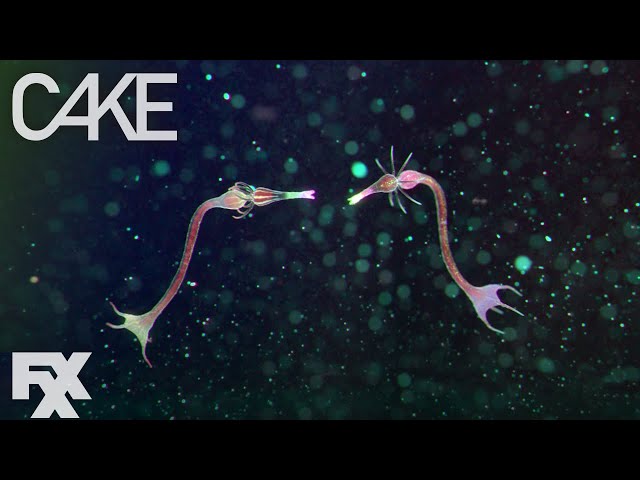 Drifters - So Weird | Cake | FXX