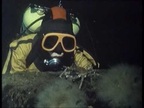 Die letzten Paradiese: Geheimnisse des Meeres – Operation U-Boot: