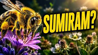 O que aconteceria se as abelhas desaparecessem? 🐝🌎