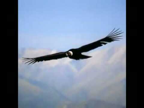 Los Indios Tabajaras - El Condor Pasa