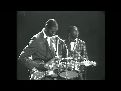 Hound Dog Taylor & Little Walter • “Shake Your Money Maker” • 1967 [Reelin' In The Years Archive]