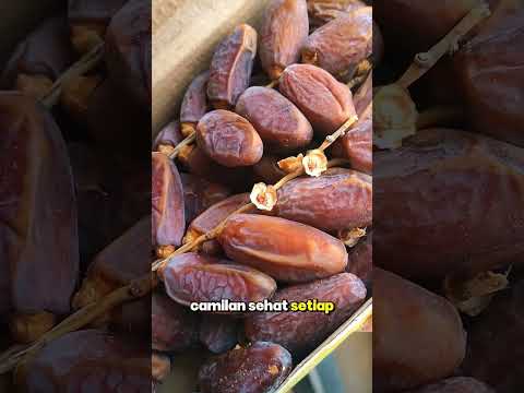 Video Kurma Asyraf