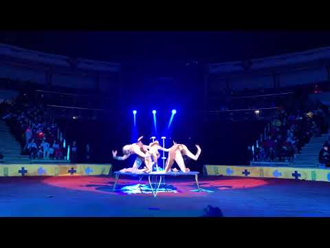 Enerel Azzaya Enkhzul  (Trio contortion)