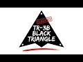 Uncovering The MYSTERY Of The TR 3B Black Triangle