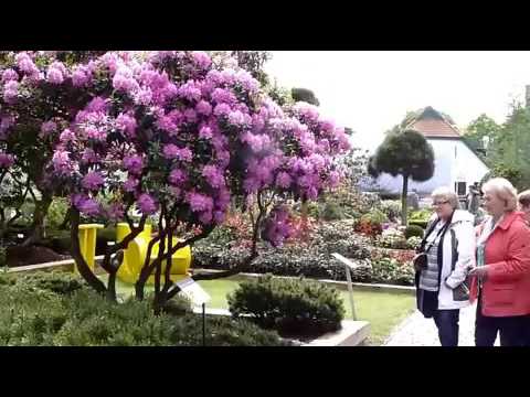 ExklusiveRhodo"-Führung für NWZ-Leser"