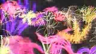 Umbabarauma - Jorge Ben, produced by David Byrne