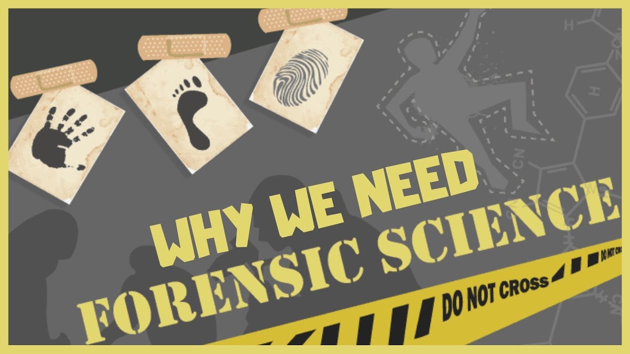 Why are forensic scientists important? EN General