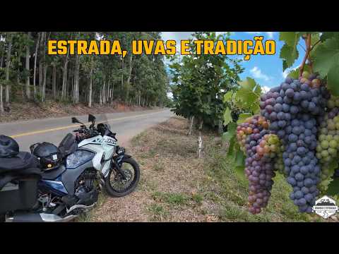 De Moto entre parreiras | Vindima em Nova Roma do Sul