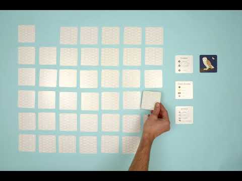 How to play FLY HOME