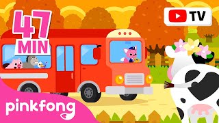 Wheels on the Bus Go Round and Round Compilation | + Car Town | Baby Car | Pinkfong Car Story