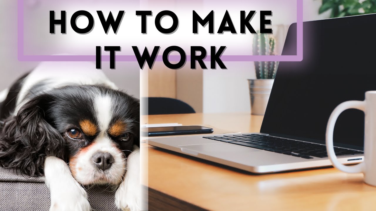 Full-Time Job and a Dog? What You Need to Think About