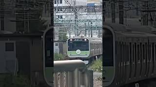 山手線ラッピング見れた#東京駅 #鉄道 #電車 #山手線 #ラッピング列車
