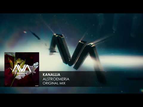 Kanallia - Alstroemeria