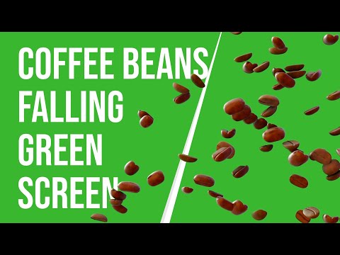 Coffee Beans Falling : Green Screen Coffee Beans Falling Down Effect | HD | FREE DOWNLOAD