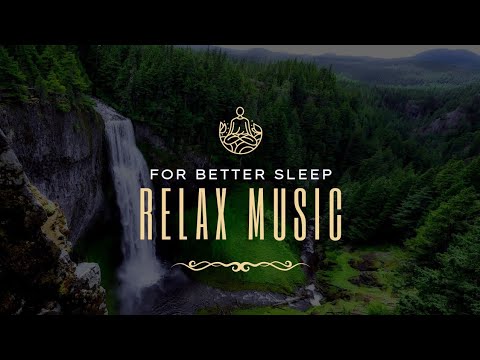 Relaxing Sleep Music 3H  In The Forest 3H | HD Video