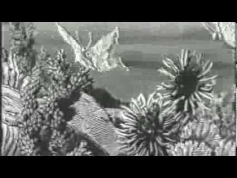 Daniel Bloom - Overture in the air